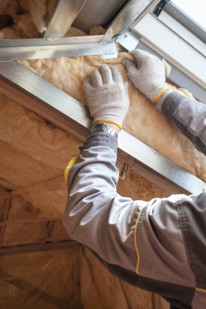 Best Commercial Insulation in Perris, CA