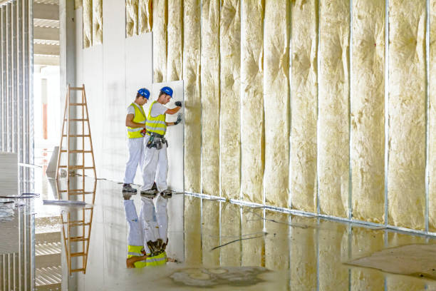 Best Cellulose Insulation in Perris, CA